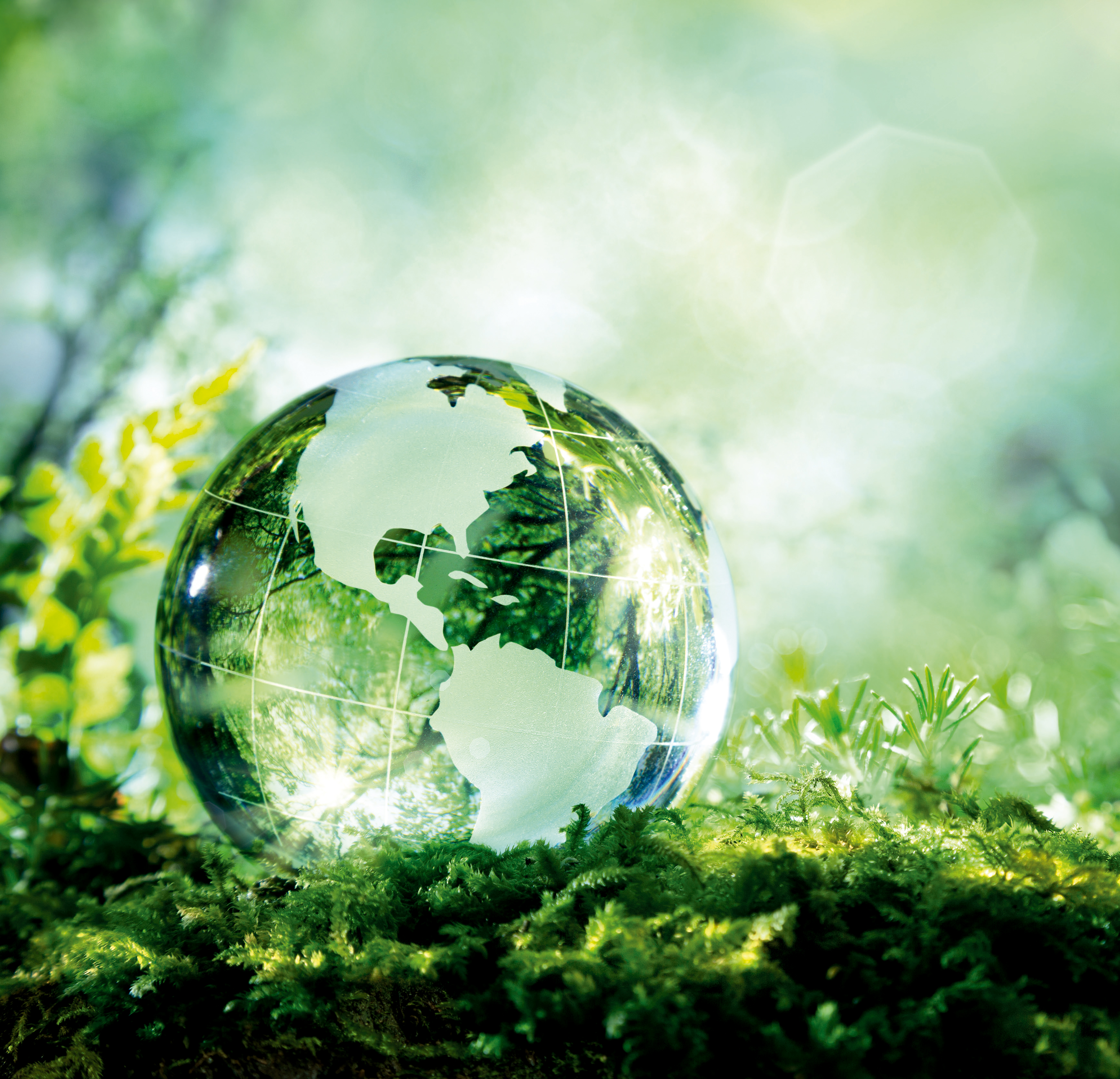 Burocracia Verde: Embates do Licenciamento Ambiental